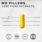 BERBERINA 1200 mg | Aceworkz