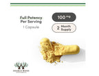 DIHIDROBERBERINA 100 mg | Double Wood Supplements